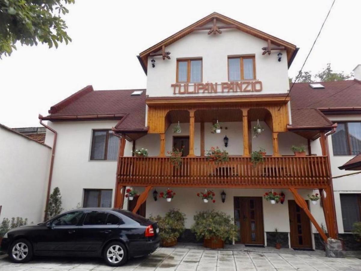 Tulipan Panzio Bed & Breakfast Sfântu-Gheorghe Exterior foto